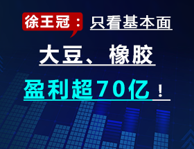 徐王冠：只看基本面，大豆、橡膠盈利超70億！